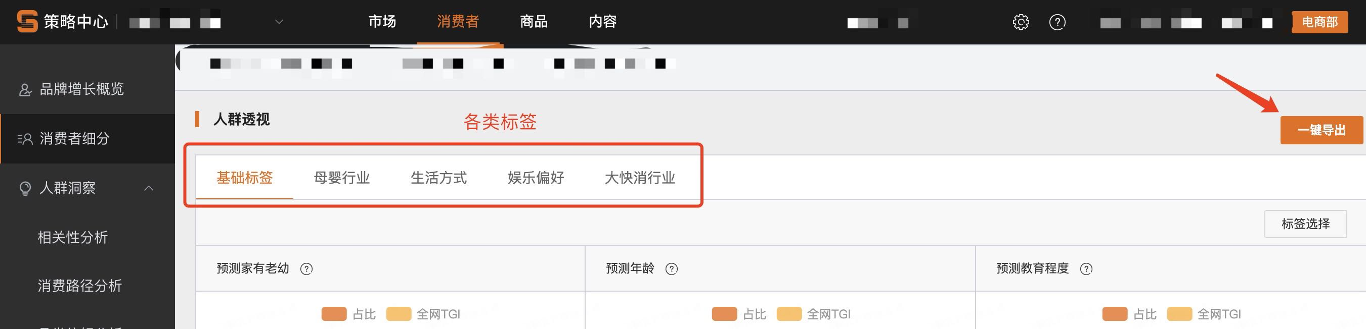 消费者细分